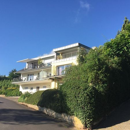 Ferienhaus Panorama Mosel Райл Екстериор снимка