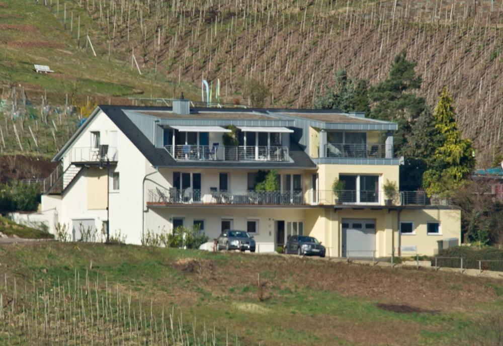 Ferienhaus Panorama Mosel Райл Екстериор снимка