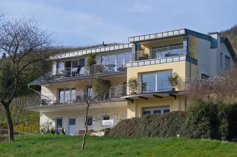 Ferienhaus Panorama Mosel Райл Екстериор снимка