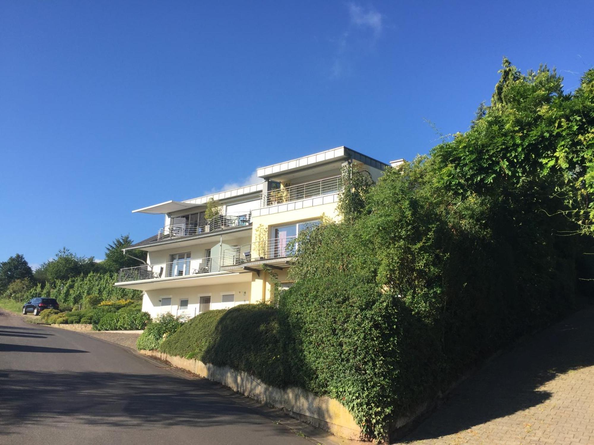 Ferienhaus Panorama Mosel Райл Екстериор снимка