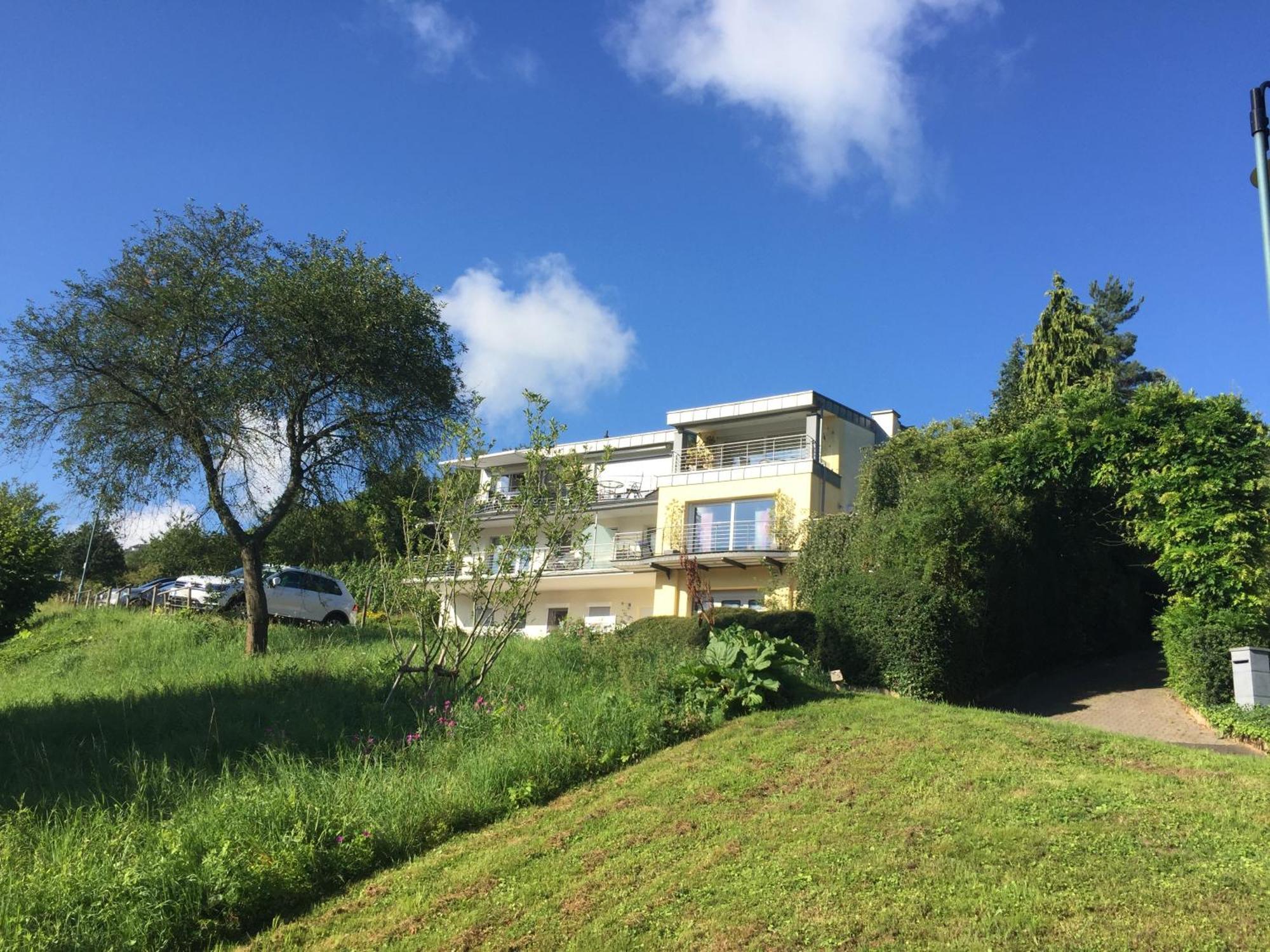 Ferienhaus Panorama Mosel Райл Екстериор снимка